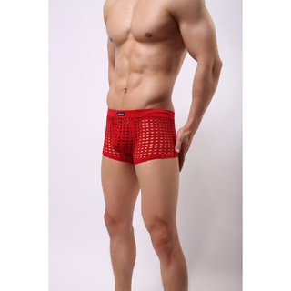 Quần lót nam dạng lưới - QL025