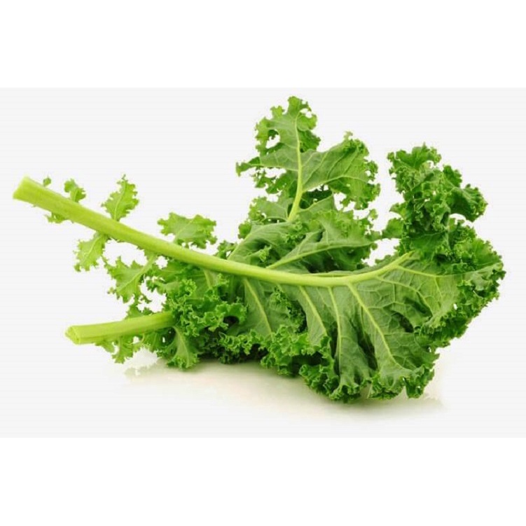 [FreeShip] 20 Hạt Giống Cải Xoăn Kale - Nhập Khẩu Mỹ