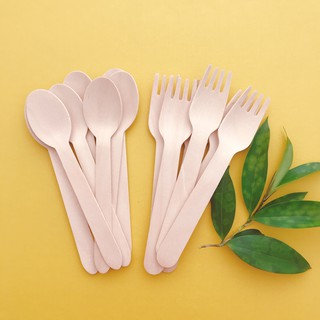 [FREE SHIP 50K] ECO WOODEN – Combo bộ 100 Muỗng (Thìa) và Dĩa (Nĩa) gỗ 160mm dùng một lần | Thân Thiện Môi Trường