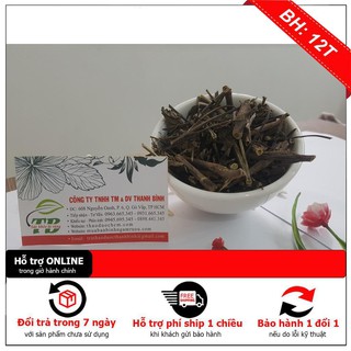 Combo 2Kg CÂY RÂU MÈO KHÔ - Hàng Công Ty Loại 1