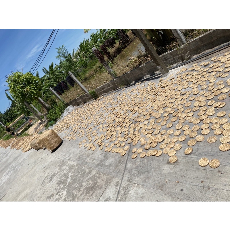 Đĩa lục bình,đĩa cói⚡ GIÁ CỰC SỐC ⚡ Thảm lót đĩa, treo tường, decor trang trí đa dạng nhiều size