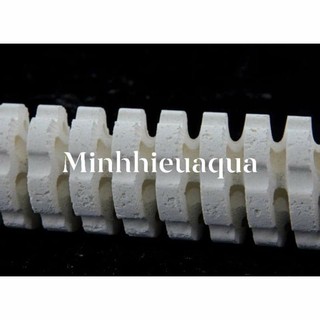 Sứ củ sen Mountain Tree Root 3 dành cho cá biển