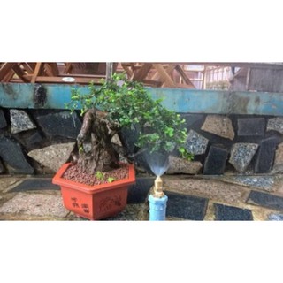 10 bec phun sương đồng chân ren 21
