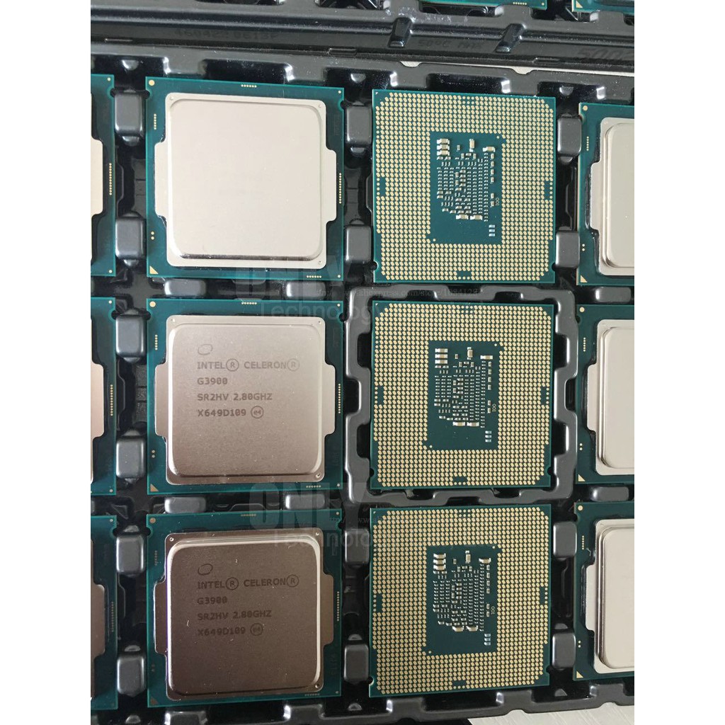 CPU G3900 2.8Ghz 2Mb tháo máy, socket 1151 Intel Celeron g9300 cũ