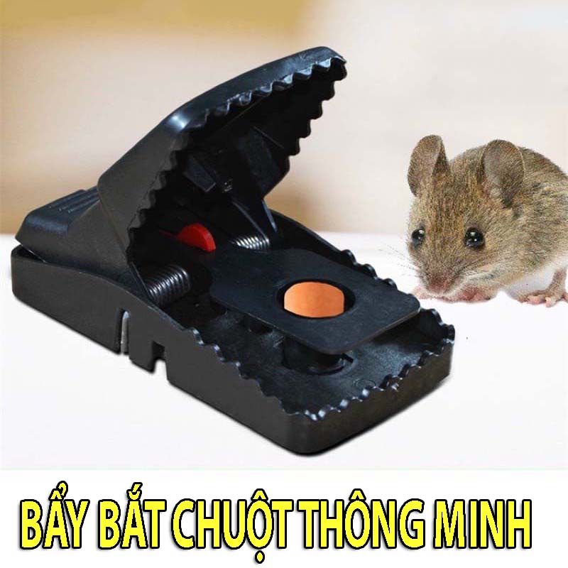DỤNG CỤ BẪY CHUỘT THÔNG MINH