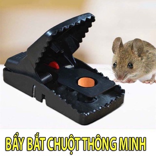 DỤNG CỤ BẪY CHUỘT THÔNG MINH