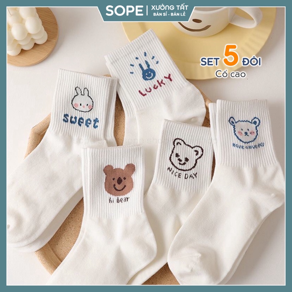Set 5 Tất gấu trắngFREESHIPvớ cổ cao hoạ tiết hình đáng yêu chất liệu vải cotton co giãn bốn chiều