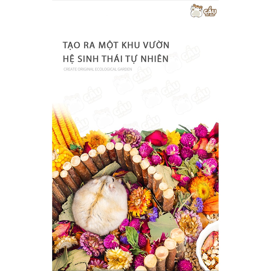 Hộp hoa khô Mix JONSANTY