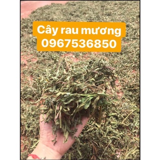CÂY RAU MƯƠNG KHÔ [GIÁ TẬN GỐC]