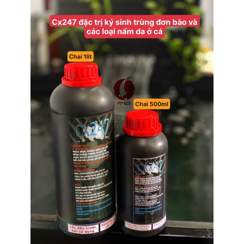 Cx247 Trị Ký Sinh Trùng Đơn Bào cho cá koi chai 500ml & 1000ml