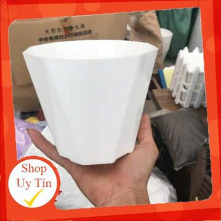 Chậu kim cương trắng trồng hoa Kích thước 13x15cm