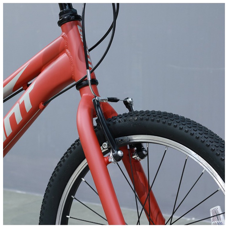 Xe đạp địa hình trẻ em Youth Giant XTC JR 20 Lite - 2021