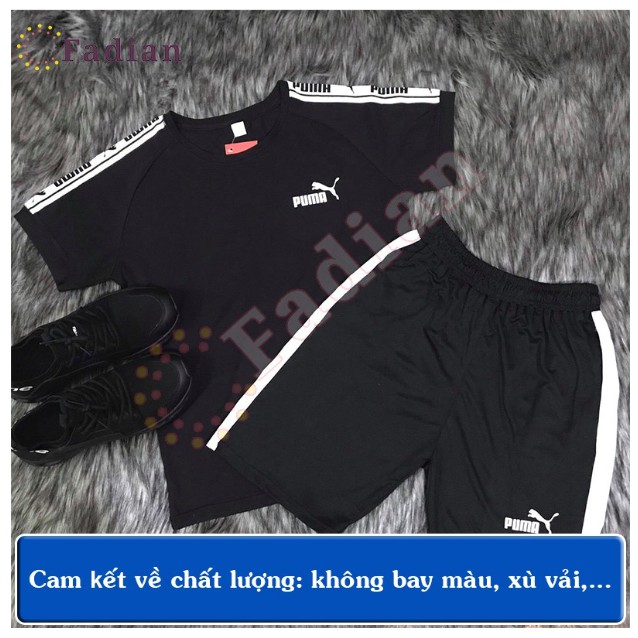 Bộ đồ thể thao nam tập Gym , Áo thun nam nữ ,Mẫu pum | BigBuy360 - bigbuy360.vn