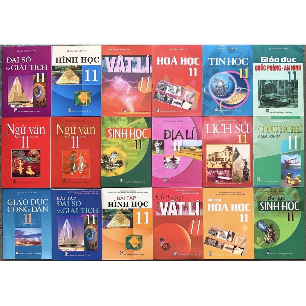 Bộ sách giáo khoa lớp 11 và Sách bài tập toán lý hóa sinh lớp 11 (18 quyển)