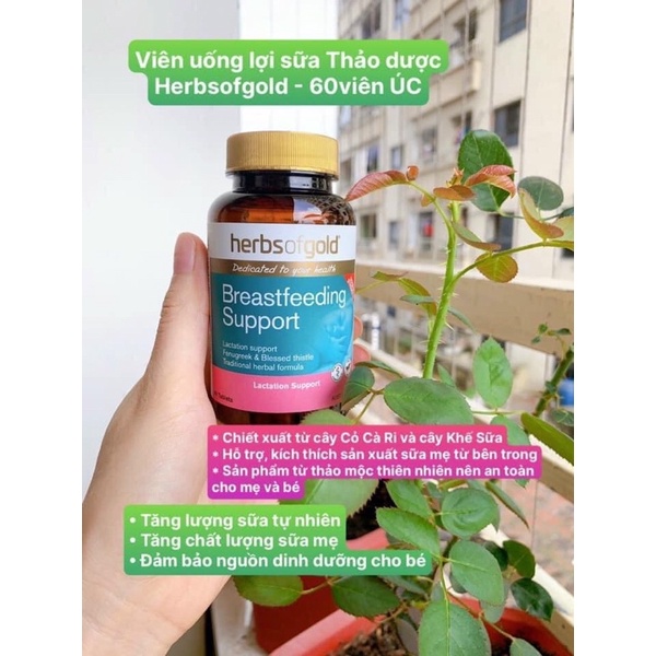 Viên uống Lợi Sữa Herbs of Gold Breast feeding Support Úc 60 viên