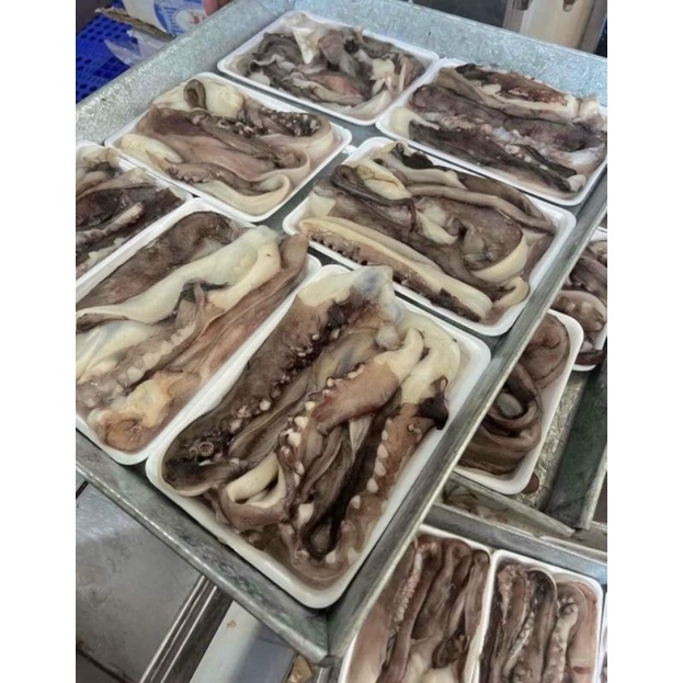 🐙RÂU BẠCH TUỘC ĐẠI DƯƠNG 500g hàng Đủ ký.  GIAO NGAY 🚛