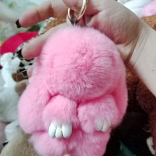 Gấu của khách bé ba