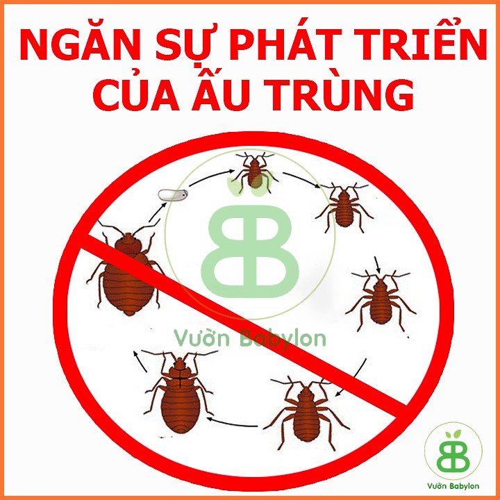 Thuốc Diệt Kiến Hiệu Quả 100% - Thuốc Trừ Kiến Gói 50Gr