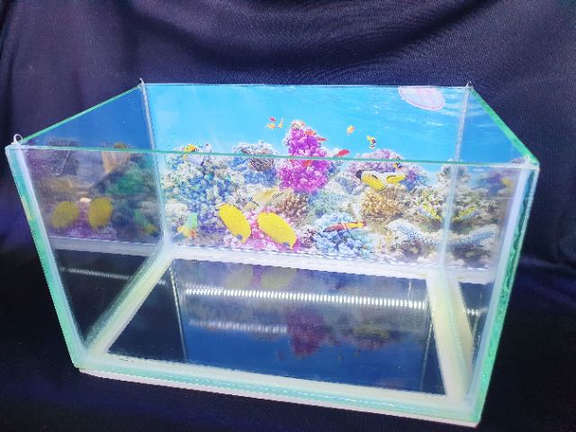 BỂ CÁ 24X15X15CM KÍNH DÀY 5 LY KHÔNG KIỀNG DÁN TRANH SẴN