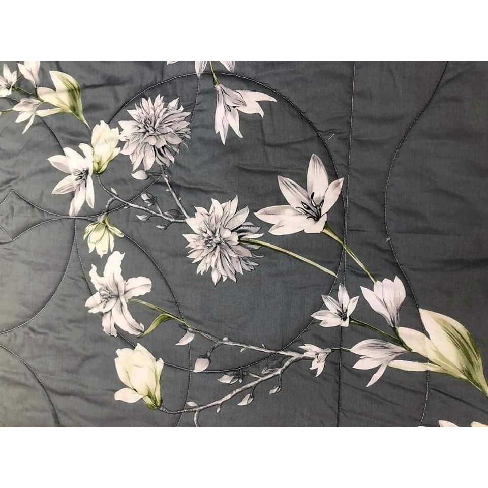 Ga phủ + vỏ gối  Hanvico - Dòng Bluesky 180x200cm