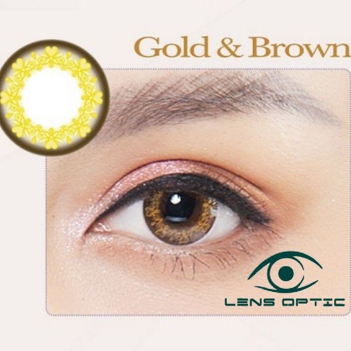 Kính áp tròng SEED 1 tháng có màu Gold brown, lens SEED có độ cho mắt cận - Lens Optic