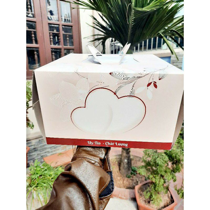 Hộp giấy đựng bánh sinh nhật cho đế 24cm (kích thước 24cm cao 16.5cm) (không kèm đế) | BigBuy360 - bigbuy360.vn