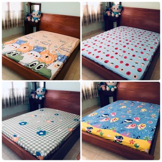Ga chống thấm cotton cao cấp 1m6x2m/1m8x2m cao 10cm kháng khuẩn