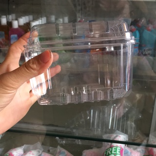 Combo 10 hộp nhựa đựng quả 0,5 kg vuông