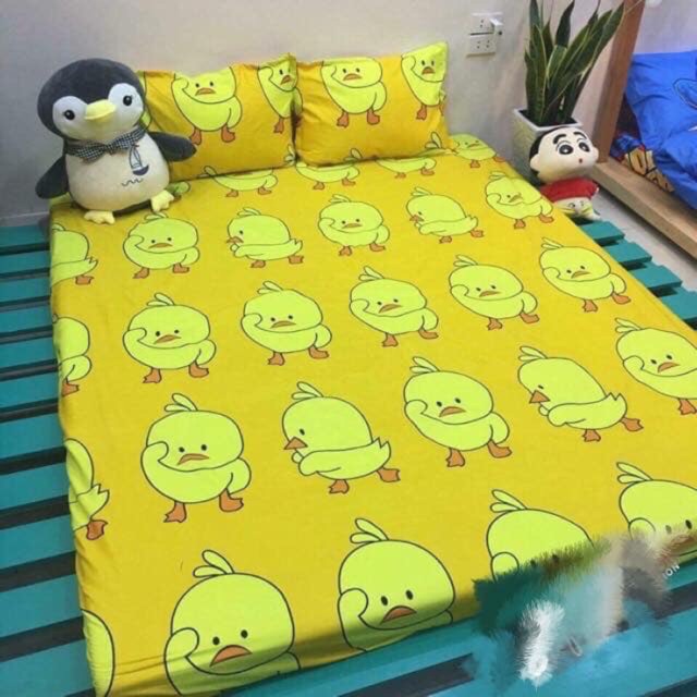 Combo 2 bộ ga