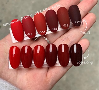 Sơn đỏ BNS cao cấp (lẻ màu )