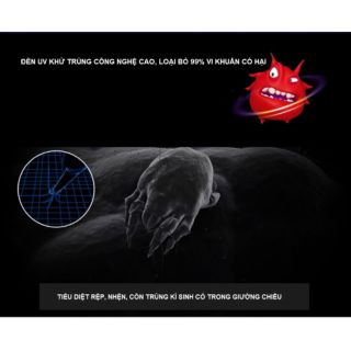 Đèn UV Diệt Khuẩn Khử Trùng