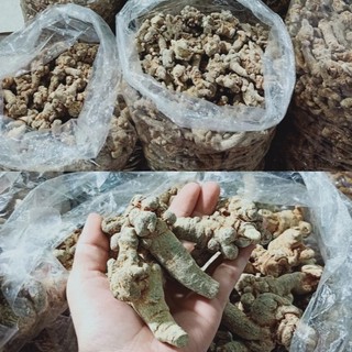Chin Tea- 💥 (Loại 52-90 củ) CỦ TAM THẤT BẮC ĐẸP ĐỀU (100Gr)