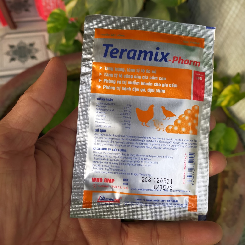 TERAMIX-PHARM: ĐẬU GÀ, ĐẬU CHIM