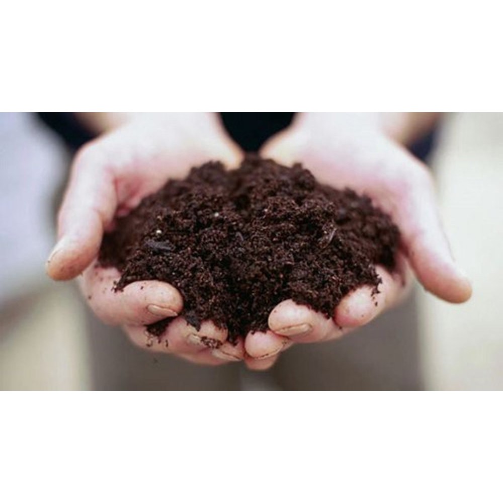 1kg đất sạch gieo hạt giống An toàn - Đất mùn Tribat