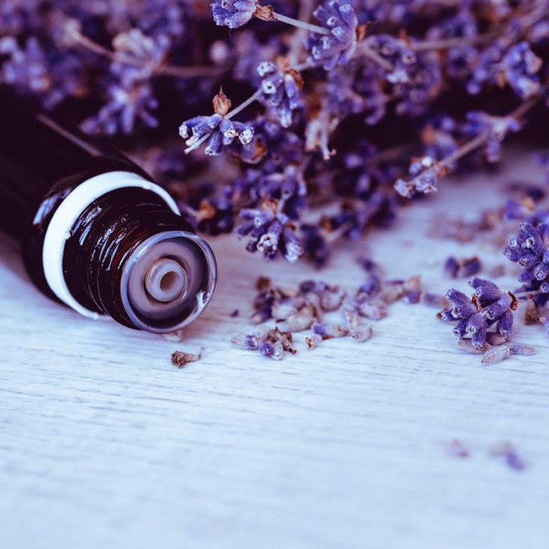 Tinh dầu Hoa Oải Hương (Lavender Essential Oil) | 10-30ml