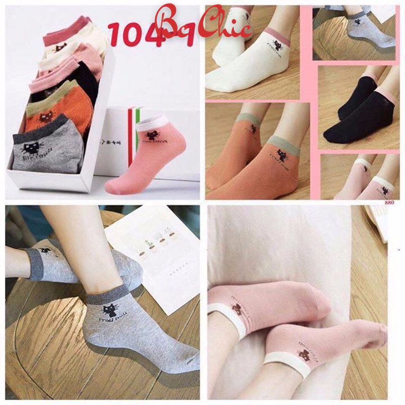 Combo 5 đôi tất mèo cổ ngắn trộn màu BC_CHIC LINGERIE