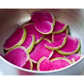 Gói 20 hạt giống củ cải vỏ xanh ruột đỏ Raphanus Sativus
