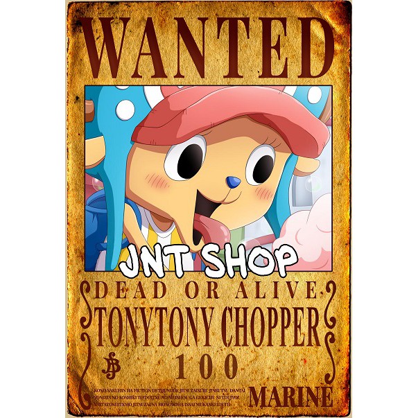 Poster Wanted Truy nã One Piece Vua Hải Tặc 51x36cm tỉ lệ vàng 1-1 trong One Piece