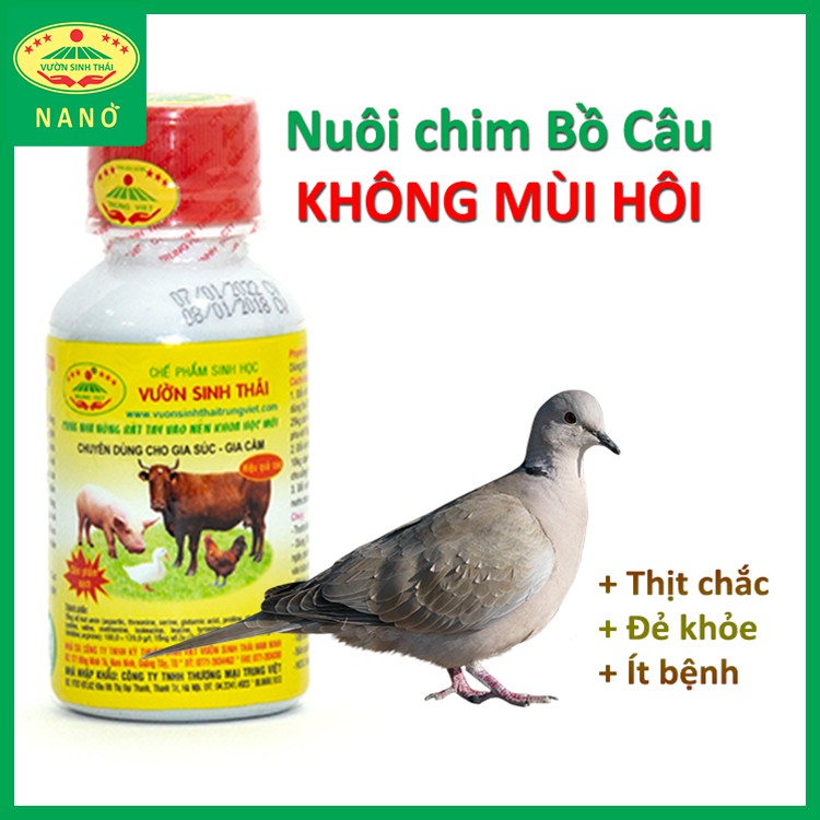 Chế phẩm sinh học nuôi Chim Bồ Câu không mùi hôi - VƯỜN SINH THÁI