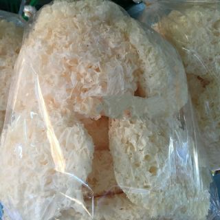 Nấm Tuyết ( ngân nhĩ)