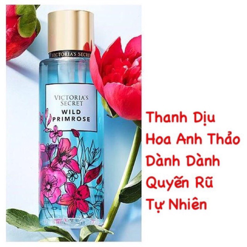 [ HCM SỈ ] Xịt thơm toàn thân Victoria Secret WILD BLOOM