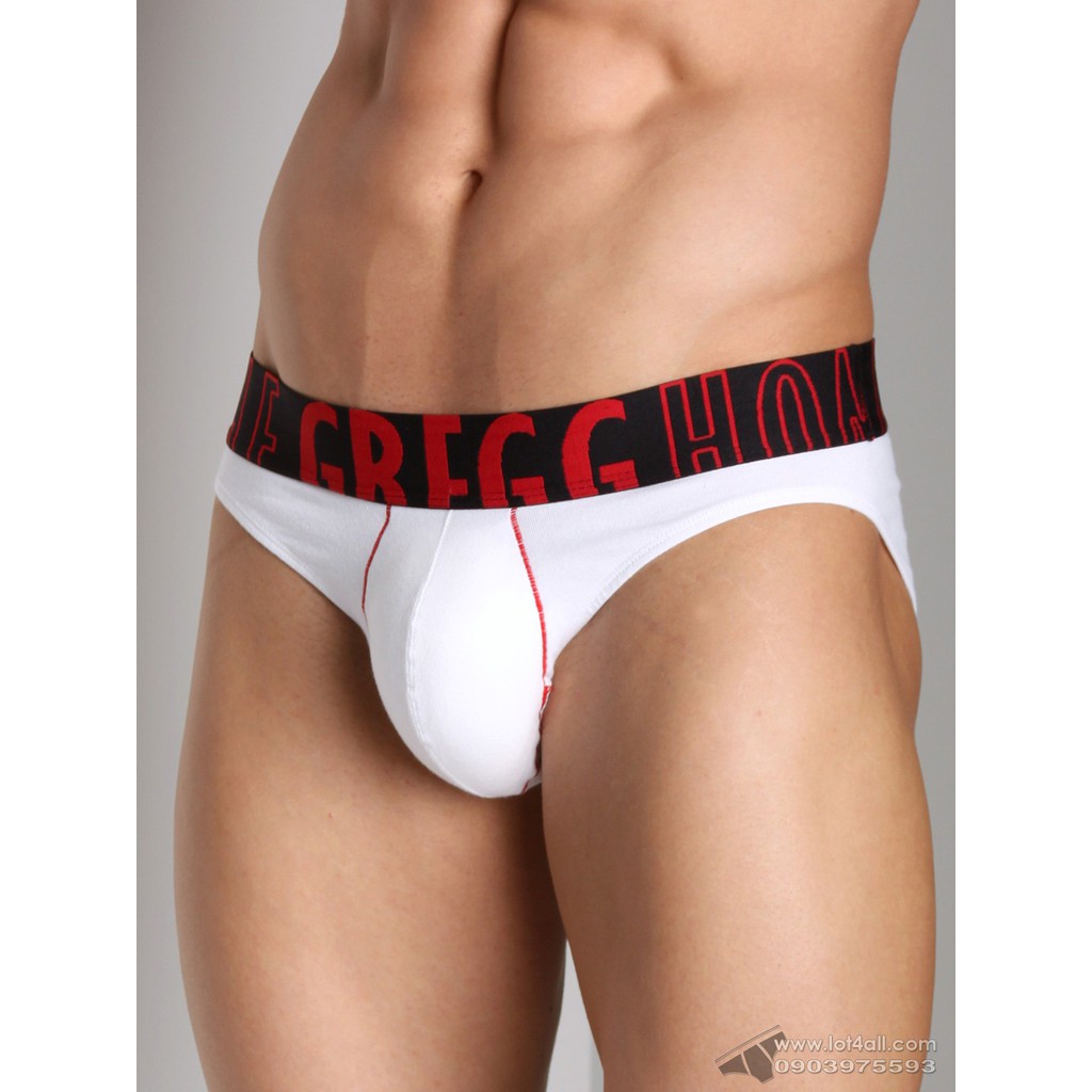 [CHÍNH HÃNG] Quần lót nam Gregg Homme 95603 Volumator Brief White