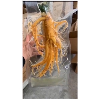 Sâm tươi sấy dẻo hàn quốc, nhân sâm hầm gà 45k size vừa 30 củ/kg