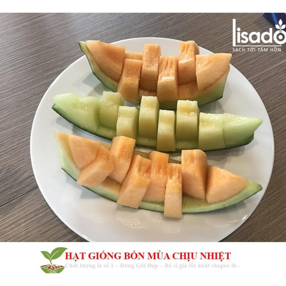 Hạt Giống Dưa Lưới Lõi Vàng Oval