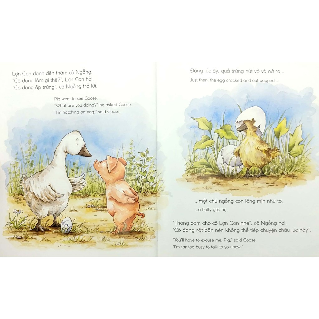 Sách Picture Song ngữ - Quả trứng của lợn con