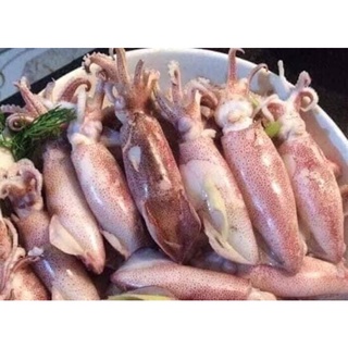 Mực trứng lưới 1 kg - size 14-16 con/ kg