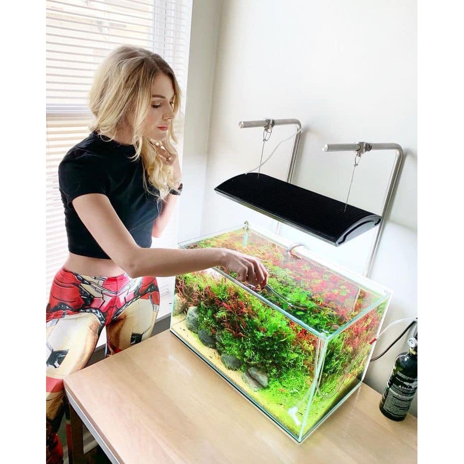 Đèn led thủy sinh Week  Ark