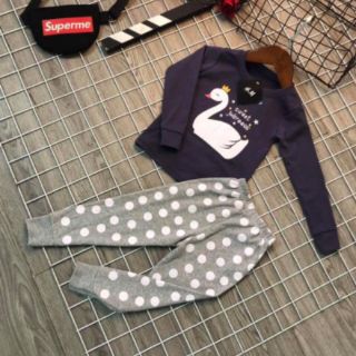 Set 5 bộ cotton len