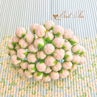 Nụ đào bó 50 nụ