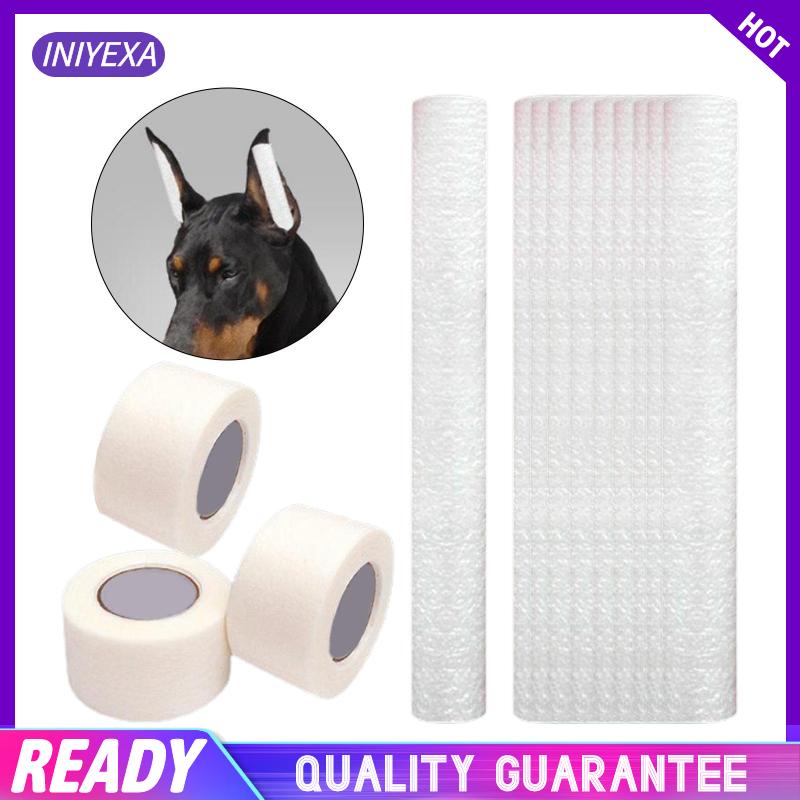 Giá Đỡ Tai Chó Chihuahua Cỡ Vừa Và Lớn Chăm Sóc Tai Cho Cún Cưng